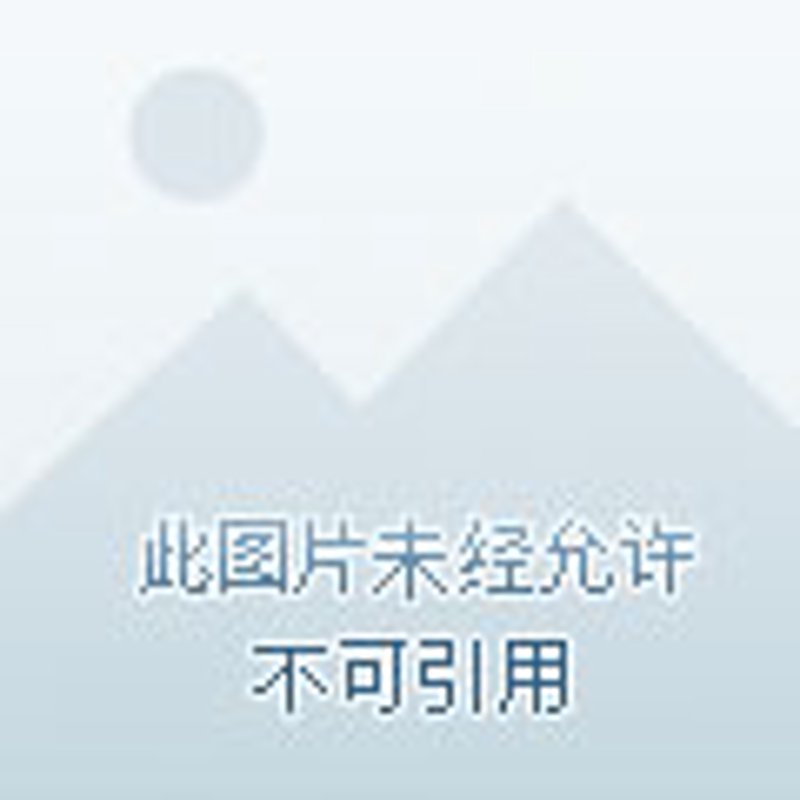 工程服务税率：解读最新税务政策
